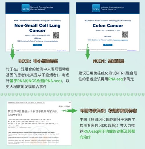 融二為一，精準抗癌 燃石醫學DNA+RNA雙檢測賦能實體瘤患者——論文解讀肝癌血漿microRNA標志物檢測報告系統